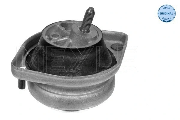 Mounting, engine (300 221 1104)