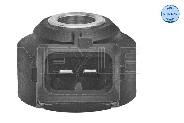 Knock Sensor