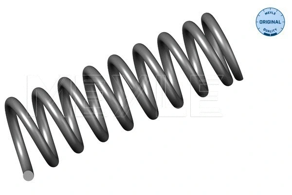 Suspension Spring (014 739 0011)