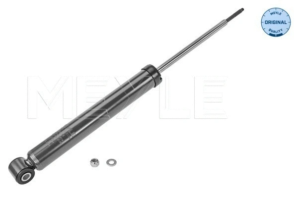 Shock Absorber (16-26 725 0025)