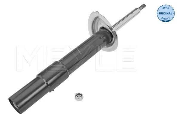 Shock Absorber (326 623 0069)