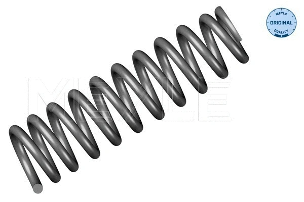 Suspension Spring (014 739 0024)