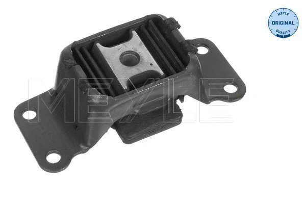 Mounting, transfer case (300 333 1106)