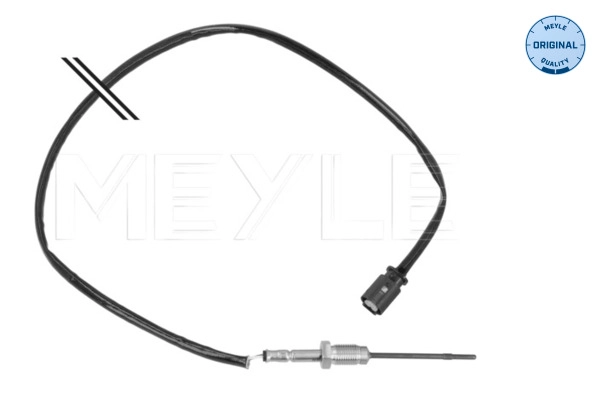 Sensor, exhaust gas temperature (314 800 0071)
