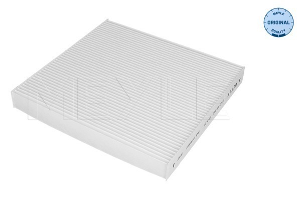 Filter, cabin air (31-12 319 0012)