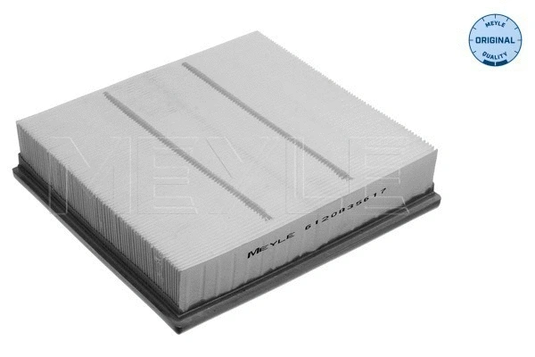 Air Filter (612 083 5617)