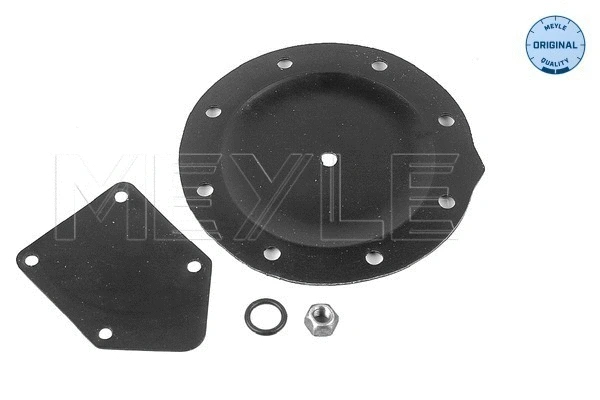Membrane, vacuum pump (100 198 0001)