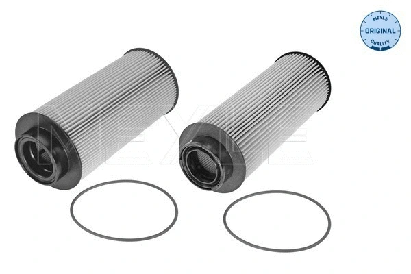 Fuel Filter (834 009 0002)