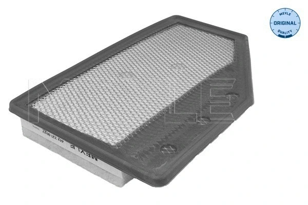 Air Filter (612 321 0027)