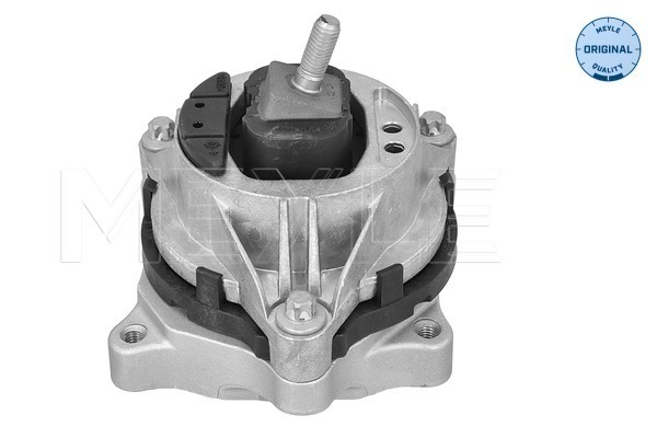 Mounting, engine (300 118 1134)