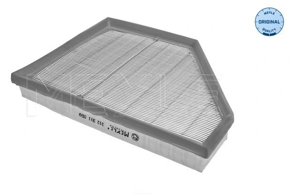 Air Filter (312 321 0029)