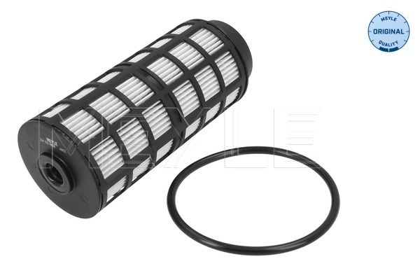 Fuel Filter (214 323 0010)