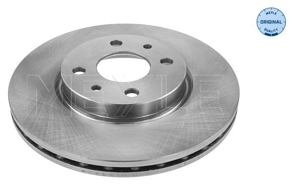 Brake Disc (215 521 0002)