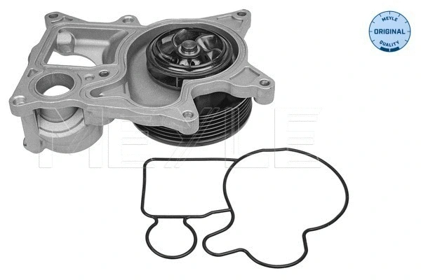 Water Pump, engine cooling (313 220 0021)
