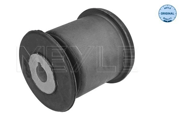 Mounting, control/trailing arm