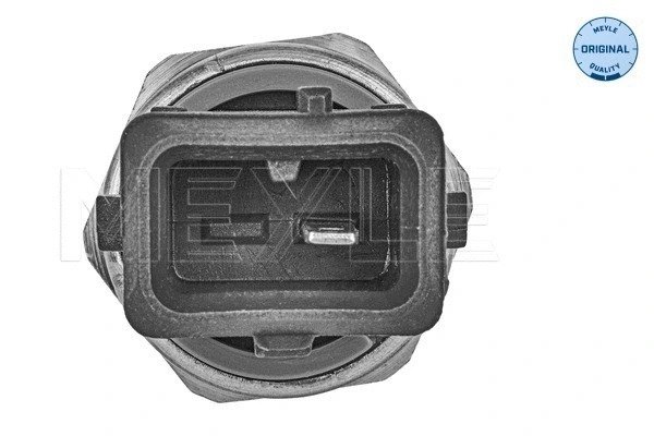 Temperature Switch, coolant warning lamp