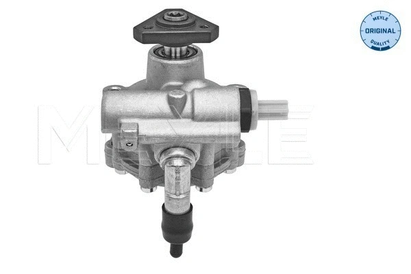 Hydraulic Pump, steering (16-16 631 0001)