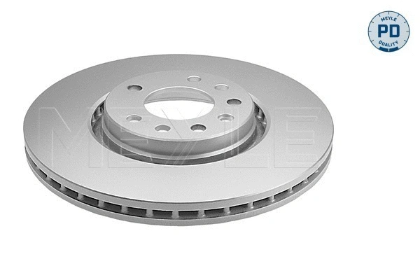 Brake Disc (615 521 0013/PD)