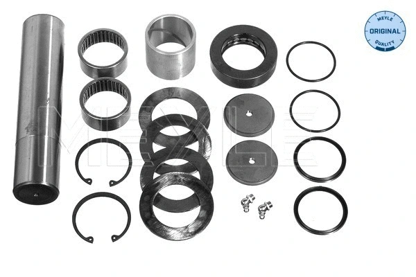 Repair Kit, kingpin (12-34 205 6013)