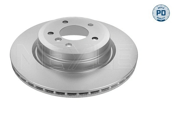 Brake Disc (315 523 0051/PD)