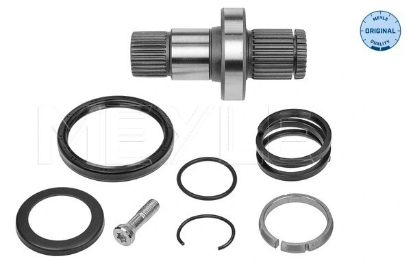Stub Axle, differential (100 498 0245)