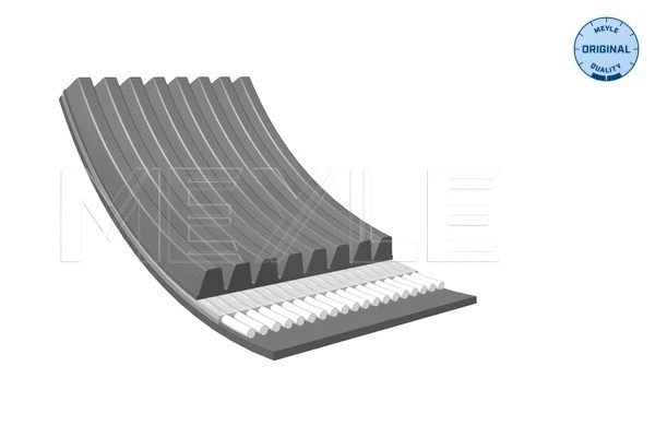 V-Ribbed Belt (050 008 1445)