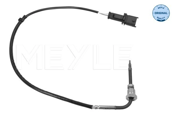 Sensor, exhaust gas temperature (214 800 0061)