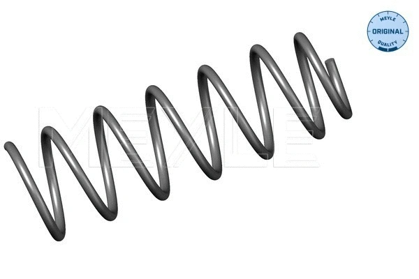 Suspension Spring (614 739 0005)