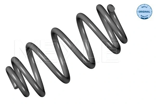 Suspension Spring (100 739 0050)