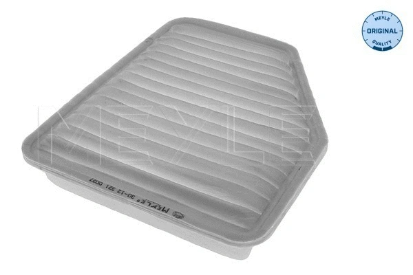 Air Filter (30-12 321 0027)