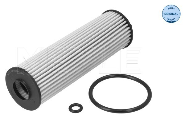 Oil Filter (100 322 0026)