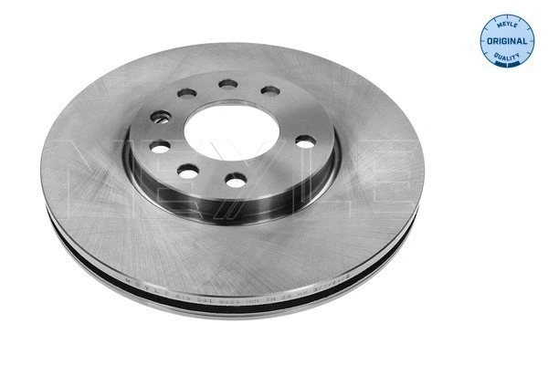 Brake Disc (615 521 0010)