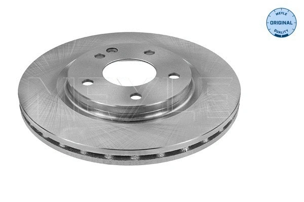 Brake Disc (015 521 2092)