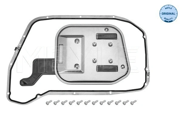 Hydraulic Filter Kit, automatic transmission (100 137 1009)
