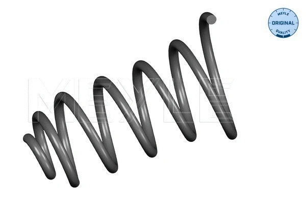 Suspension Spring (614 739 0010)