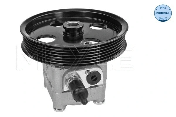 Hydraulic Pump, steering (514 631 0019)