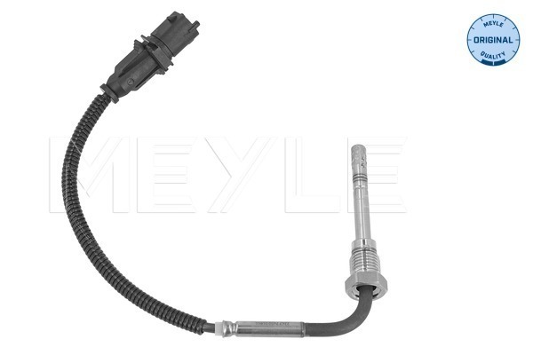 Sensor, exhaust gas temperature (214 800 0076)