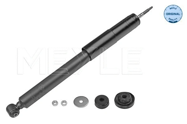 Shock Absorber (026 725 0010)