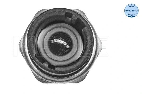Temperature Switch, coolant warning lamp