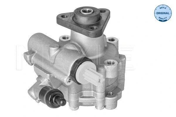 Hydraulic Pump, steering (214 631 0009)
