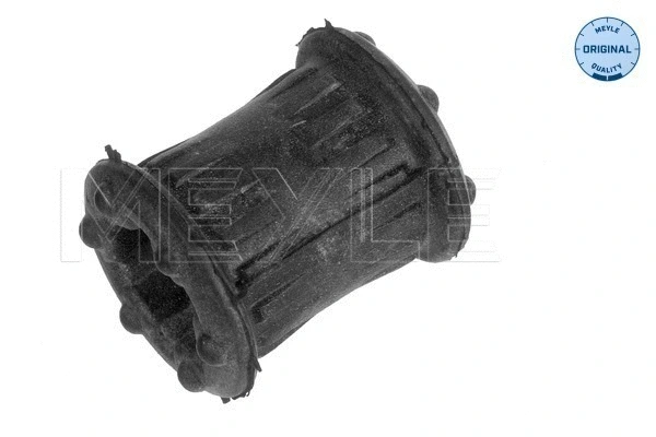 Bush, shift rod (300 251 1101)