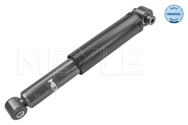 Shock Absorber (626 725 0025)