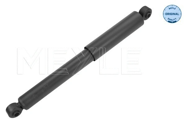 Shock Absorber (29-26 725 0002)