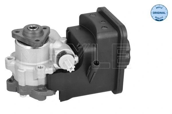 Hydraulic Pump, steering (314 631 0048)