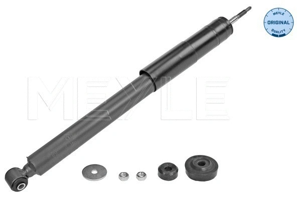 Shock Absorber (026 725 0006)