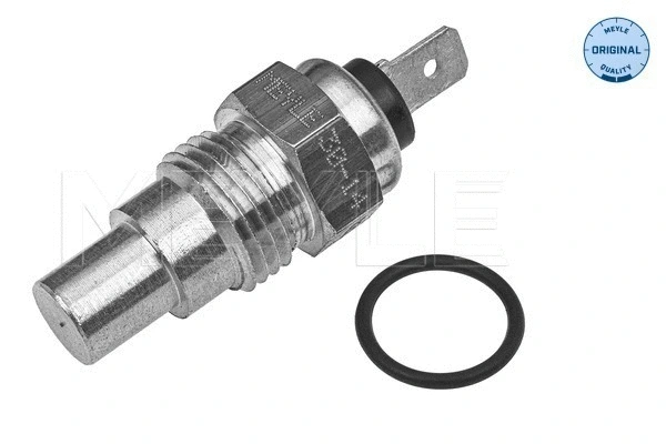 Sensor, coolant temperature (30-14 821 0007)