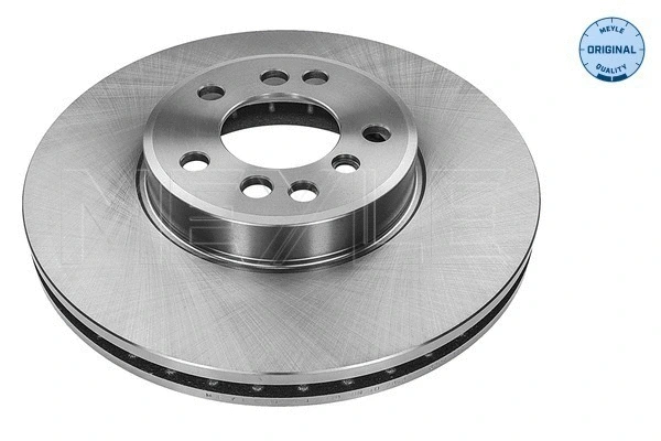 Brake Disc (315 521 0019)