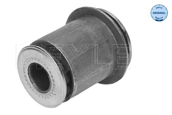 Mounting, control/trailing arm