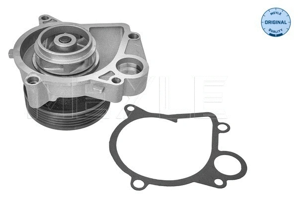 Water Pump, engine cooling (313 011 1200)