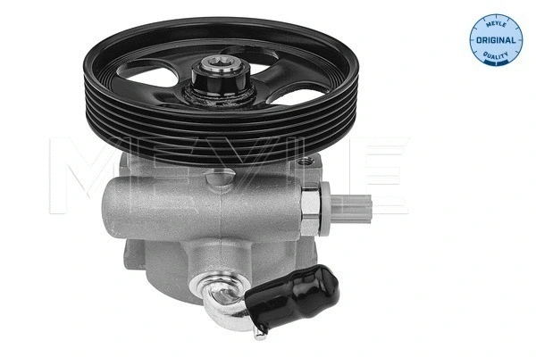 Hydraulic Pump, steering (11-14 631 0014)